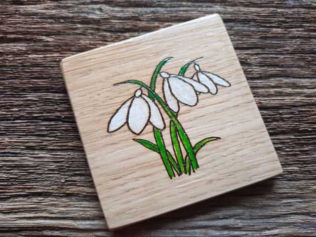 Oak Coaster - Snowdrop