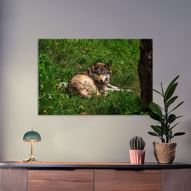 Jeune Loup &#039;Sky&#039; - Faune - Aluminium