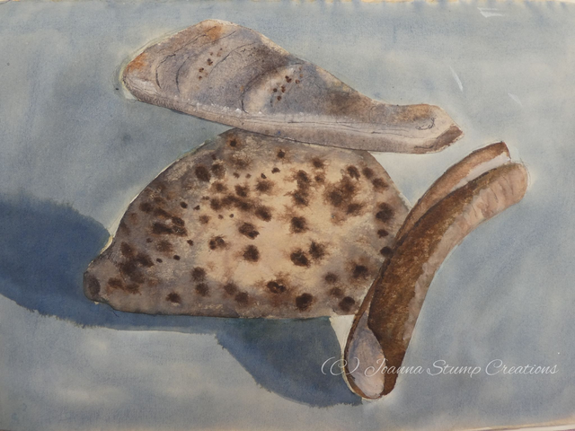 Open Edition Fine Art Print "Shell Study 3" 