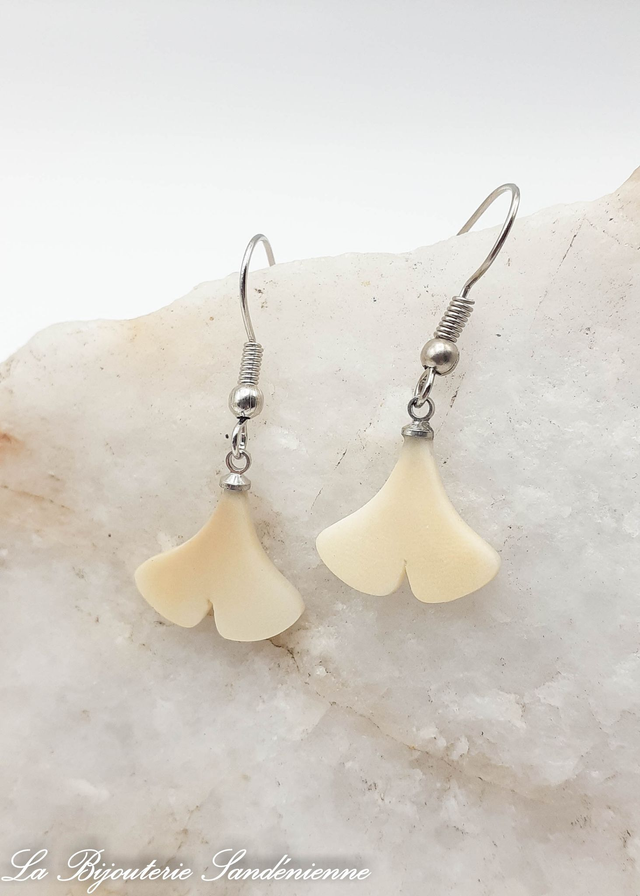 Ginkgo biloba graine de tagua ou "ivoire végétal"