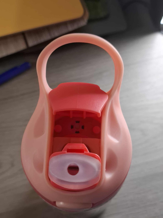 Gourde 350 ML Border Collie