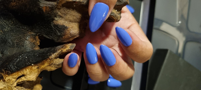 Lavande flash Amande S