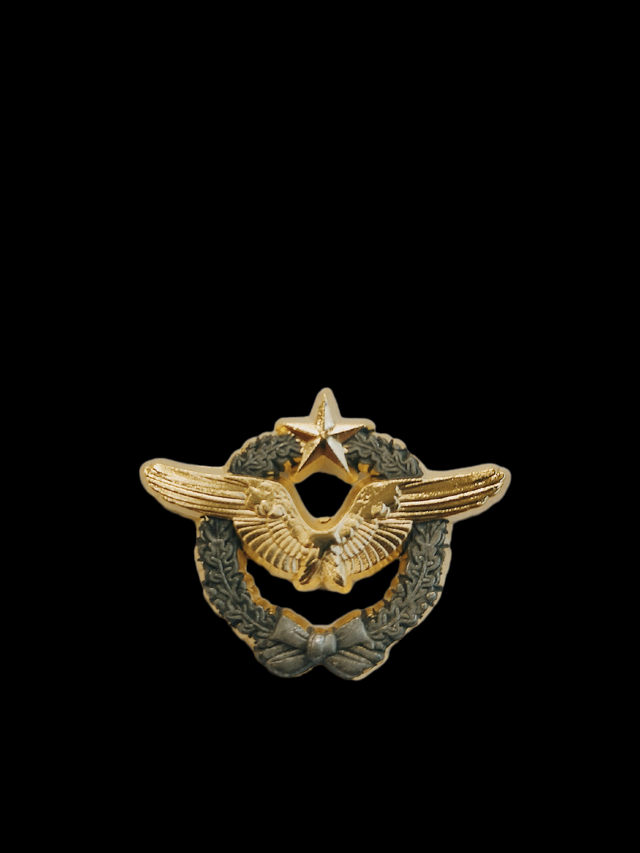 Pin's Brevet Pilote 