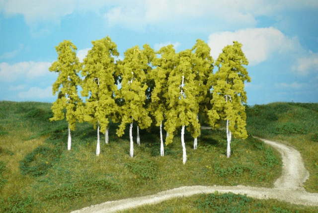 14 bouleaux 14cm Héki 1412