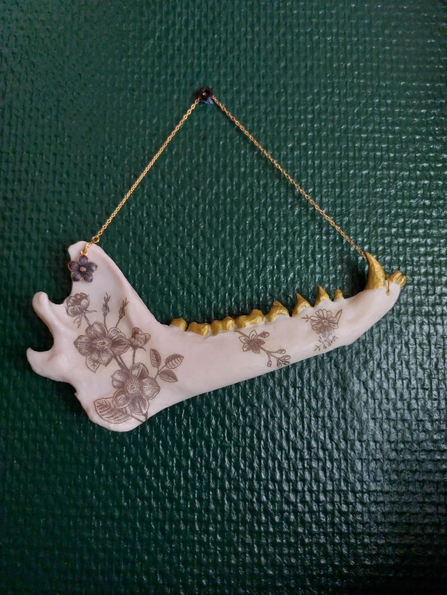 Mâchoire de renard en résine noire et dorée