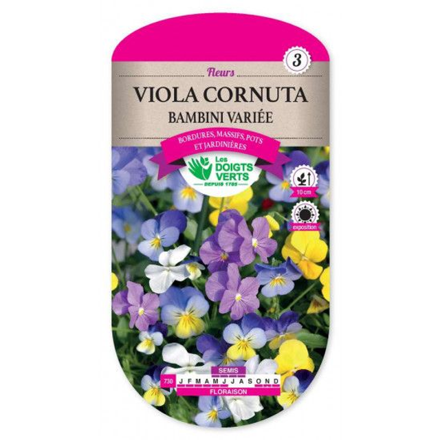 VIOLA CORNUTA BAMBINI VARIE