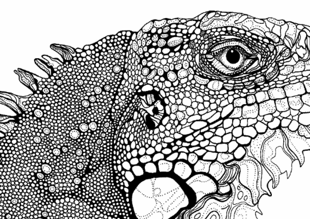 B&W A3 print - reptile