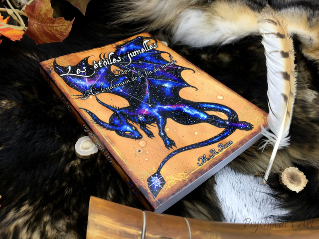 Les étoiles jumelles Roman 1