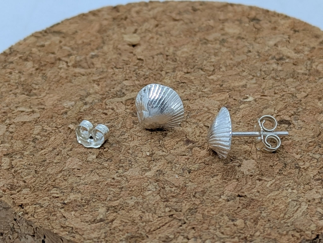 Large Seashell Earrings