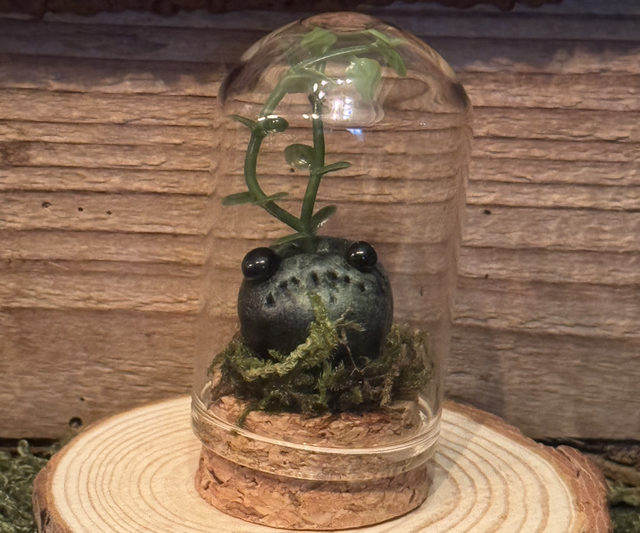 Seedling in Terrarium