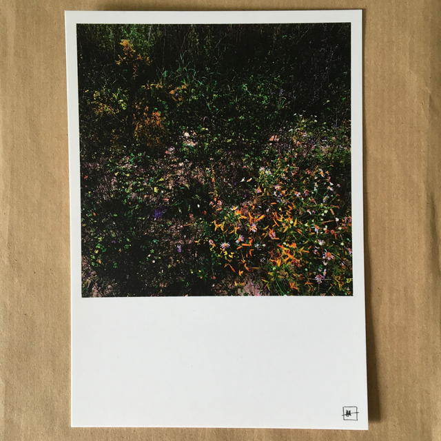 Carte "Peacefull secrets"