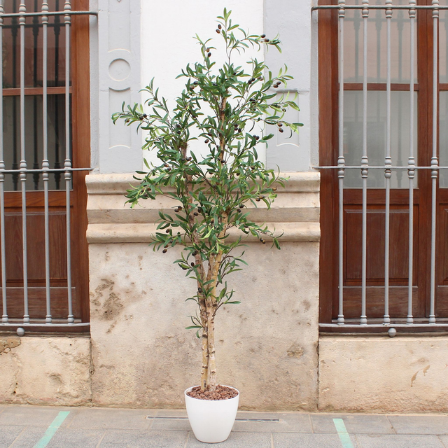 ARBOL CL465 OLIVO. con macetero 190cm