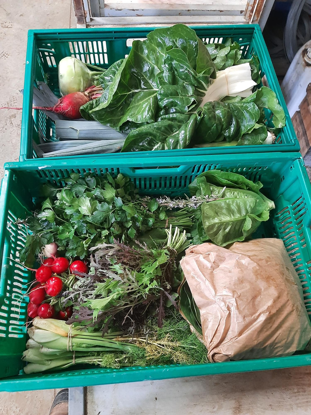 Part de récolte gourmet