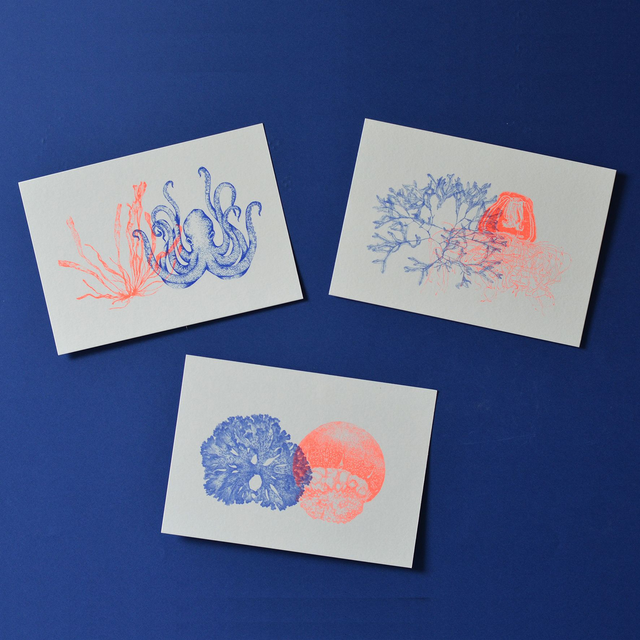 *last chance* Carte postale naturaliste RISO - les duo-