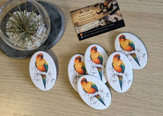 Conure Soleil, Broche Soft Touch ovale