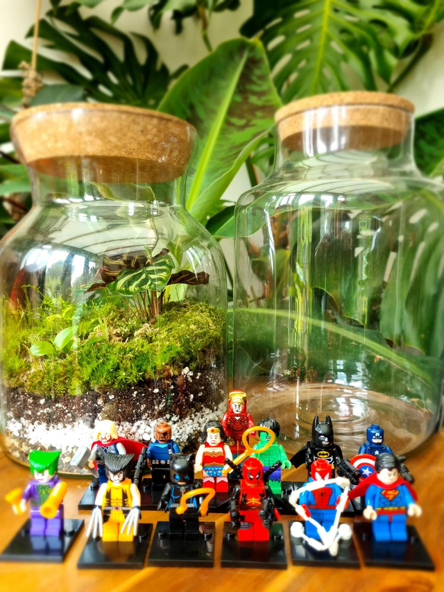 Terrarium kit with lego figure
