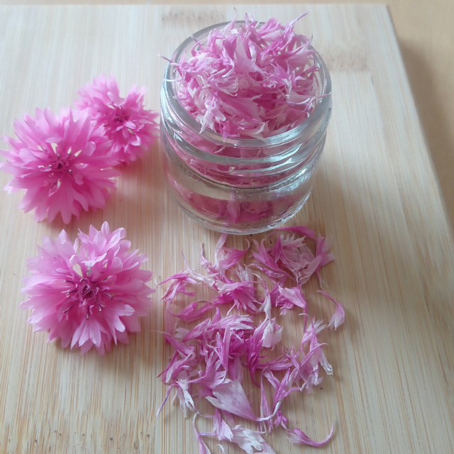 Pétales roses