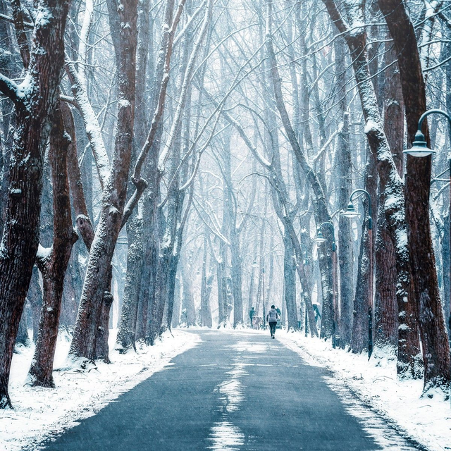 Promenade im Winterkleid