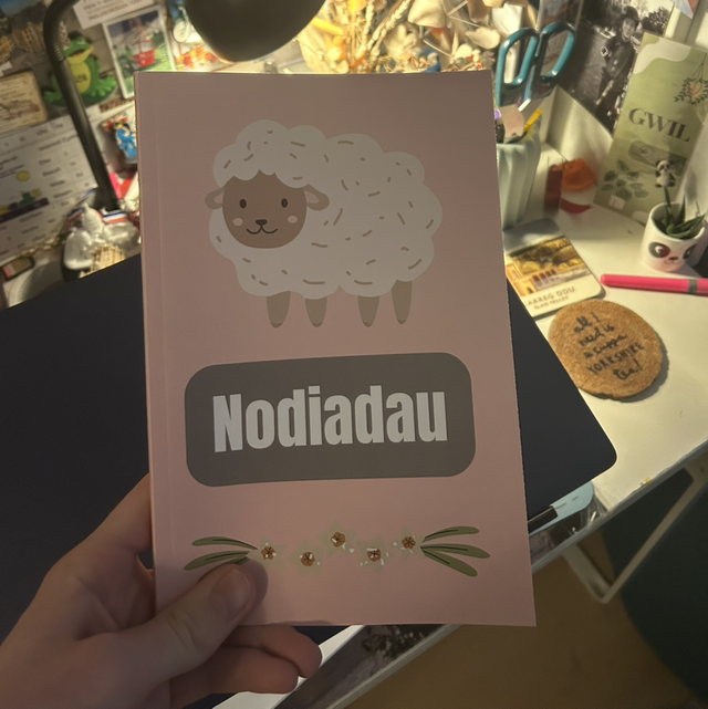 Nodiadau Notebook (120 Pages 6x9in)