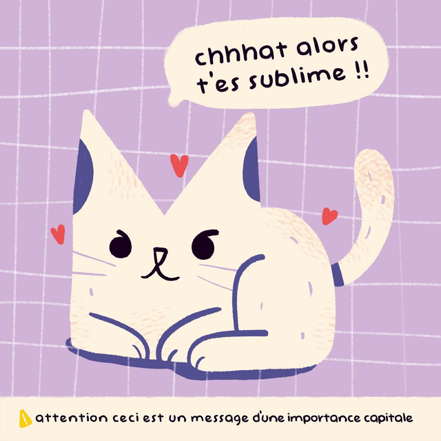 Carte Postale - Chat