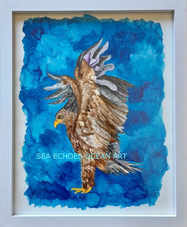 Serene Sea Eagle (Original Art)