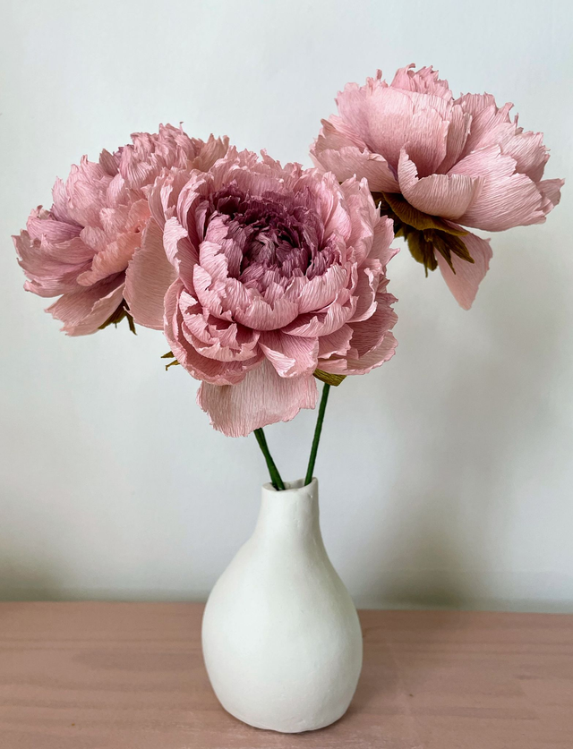 Pivoine "Almaé" avec son vase artisanal offert