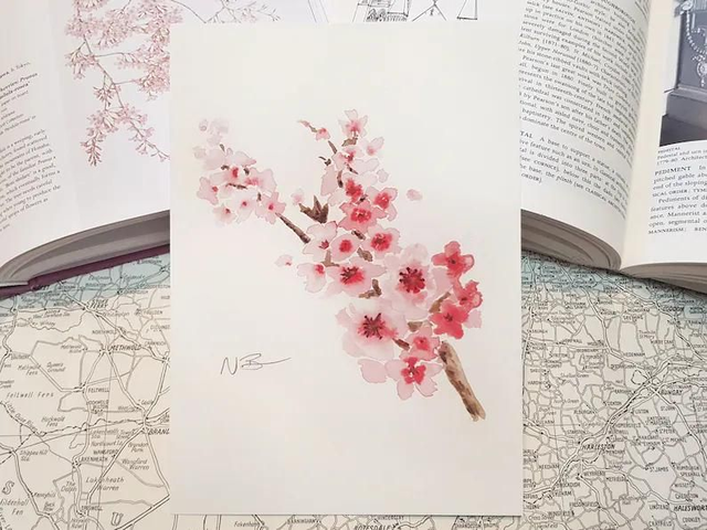 Cherry blossom print 