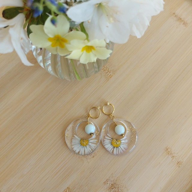 Boucles d'oreilles clips "Daisia" Pâquerettes séchées acier inoxydable doré 