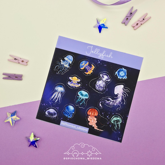 Jellyfish | ZWIERZĘTA 
