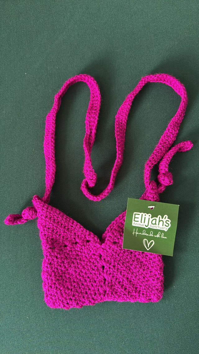 Bright Pink Small Shoulder Bag