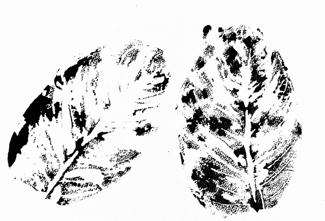 Gyotaku de Monstera Monky