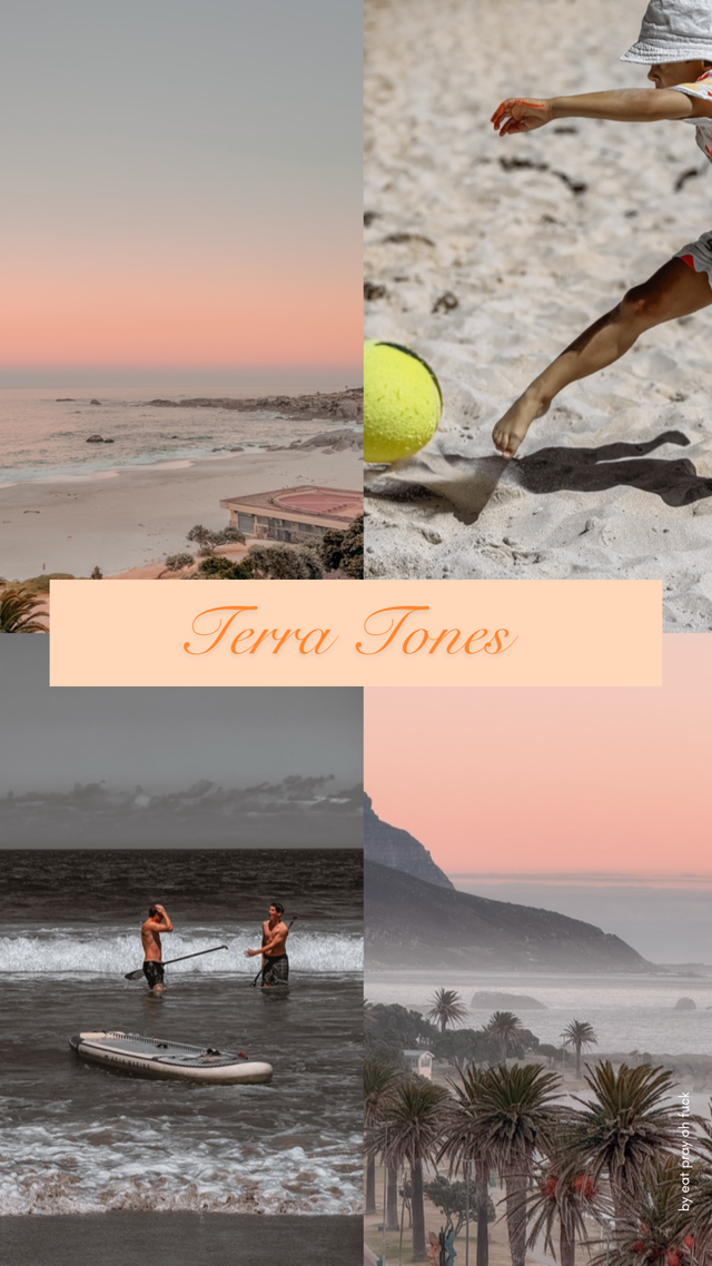 Terra Tones - 1 Preset (4 Styles) – Mein Look für deine Fotos