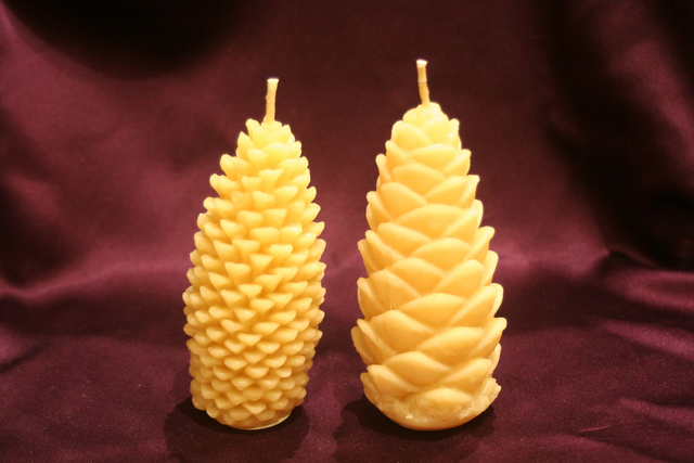 Pinecones