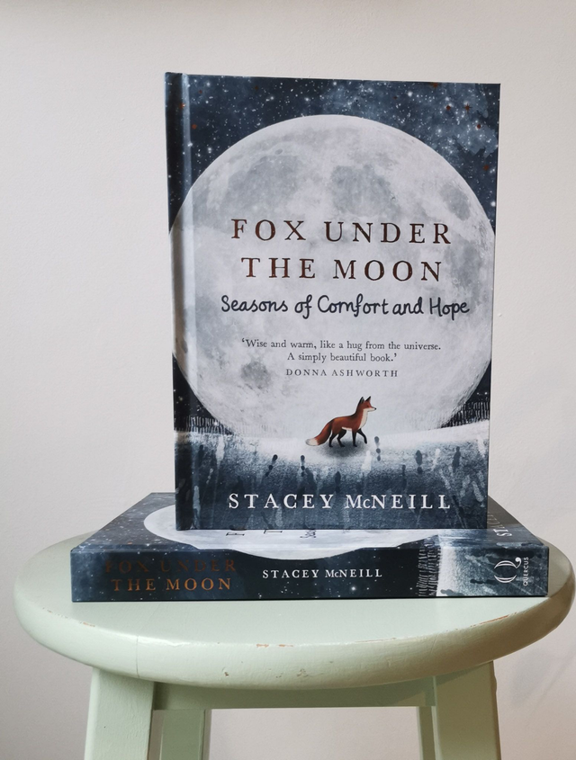 Fox under the moon book