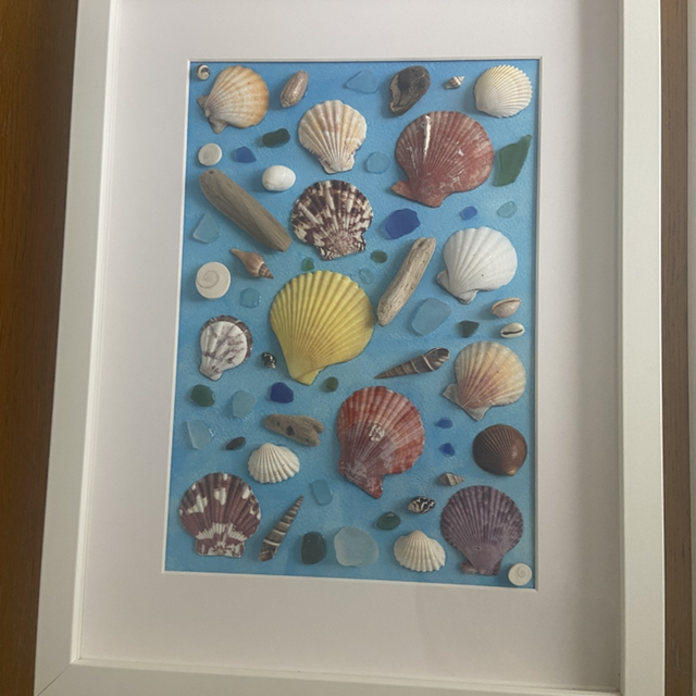 Handmade Coastal Seashell Shadow Box Frames (Set of 2)
