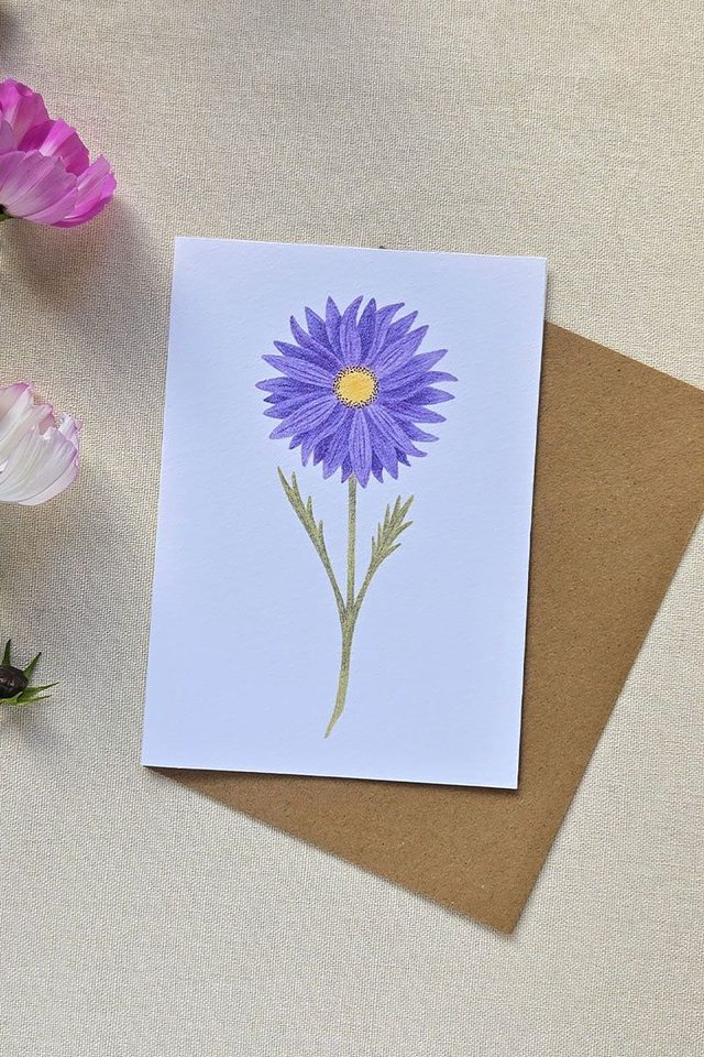 Carte au crayon de couleur - Fleur reine marguerite
