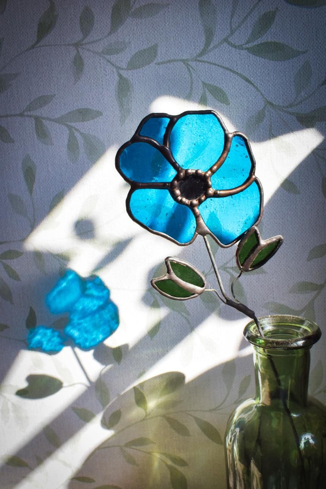 Anemone Sapphire Blue Flowers