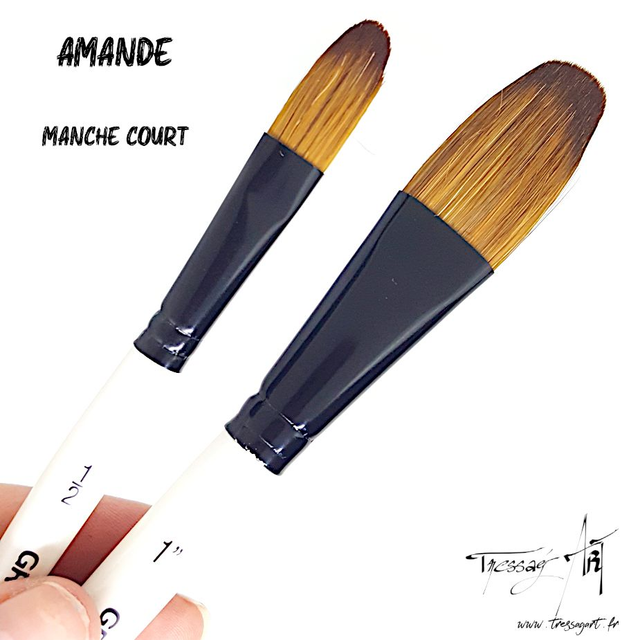 DALER ROWNEY - PINCEAU COURT UNITE - AMANDE - CA078