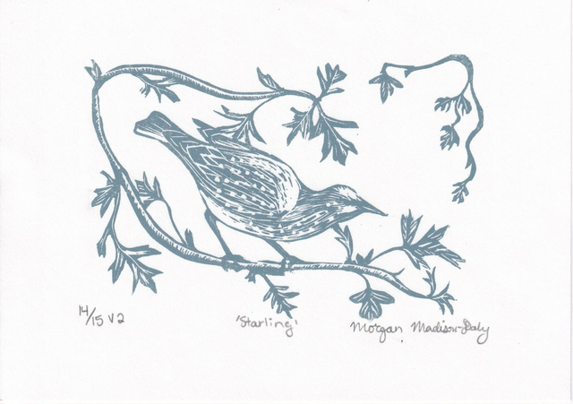 'Starling' Linocut Print