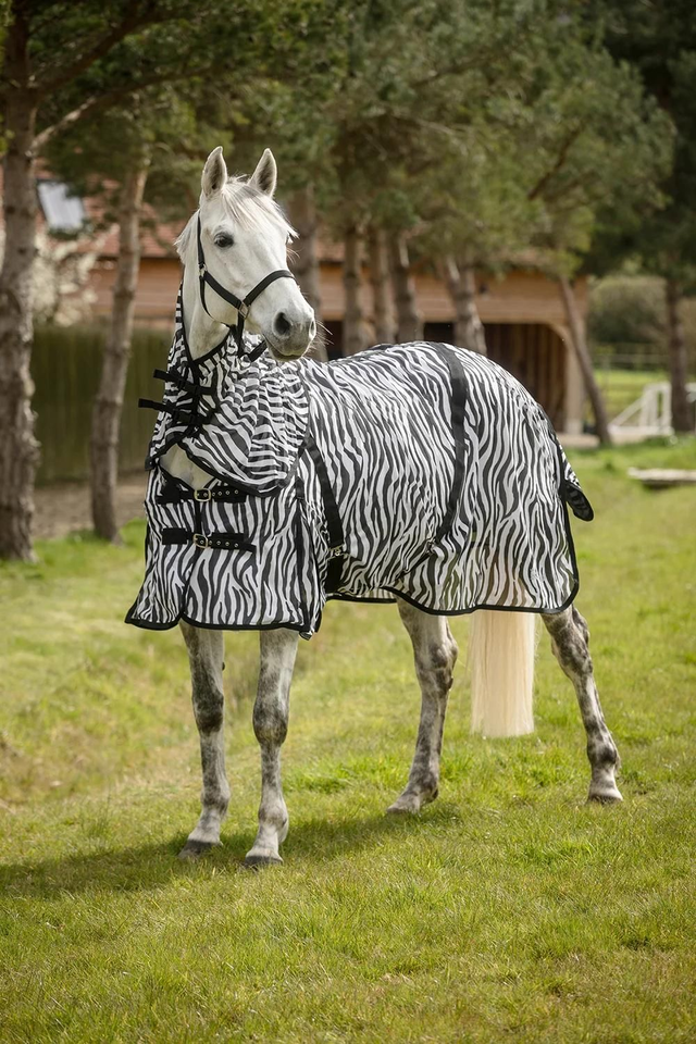 Rhinegold Zebra Combo Fly Rug
