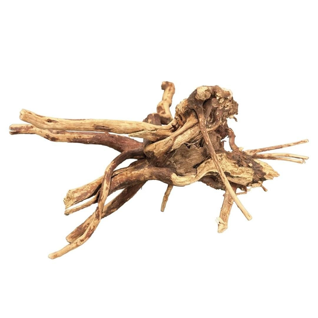 Bio art spiderwood 10-15cm 8715897349690