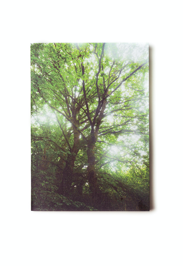 Carnet de notes format poche A6 -  &quot;Forêt magique #2&quot; Brocéliande - 48 pages blanches