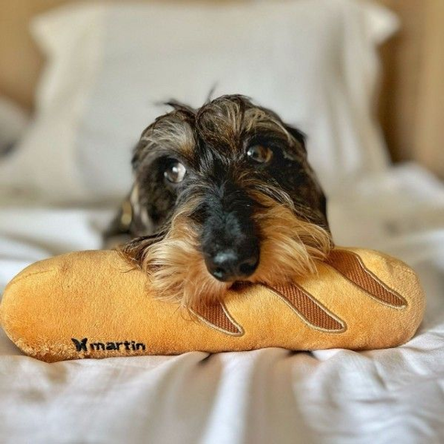 PELUCHE BAGUETTE FRANCAISE POUR CHIENS MARQUE MARTIN SELLIER.