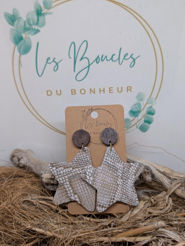 Boucles d&#039;oreilles Star s037