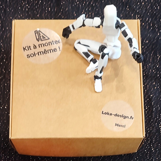 Figurine D13 à assembler – Couleurs au choix