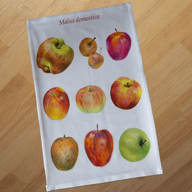 Apple tea towel 