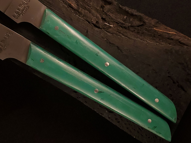 Duo de Couteaux de table Polygood