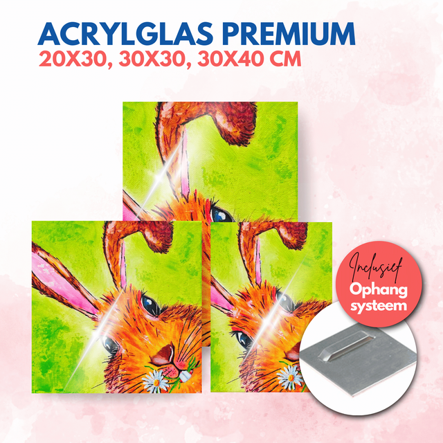 Konijn | Acrylglas premium