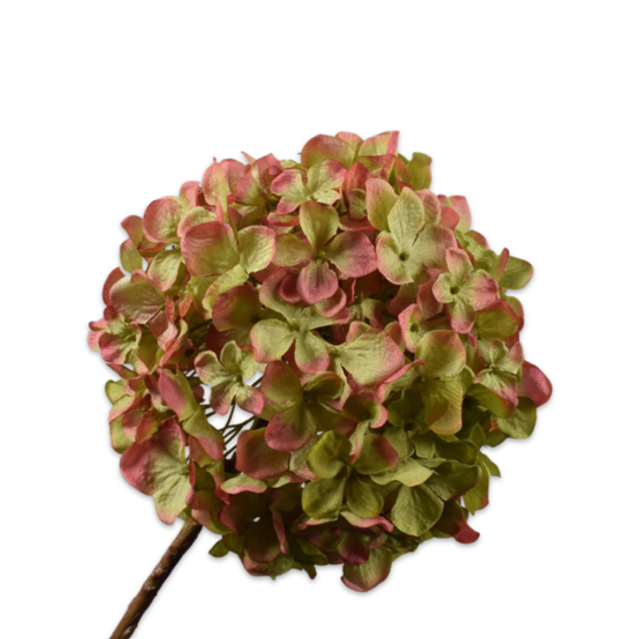 Silk-Ka Hortensia Tak Groen Creme 70cm