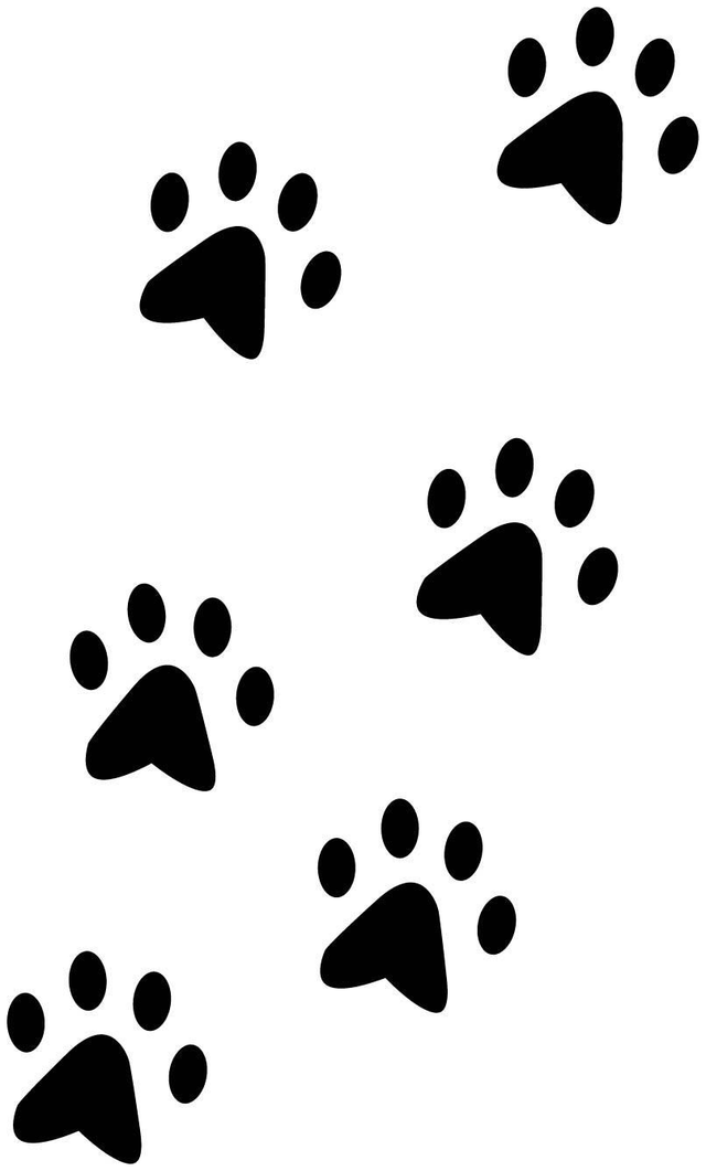 Sticker pattes de chien